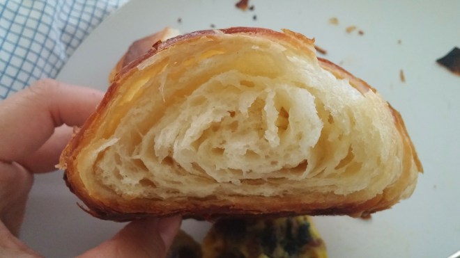 Pretty good for my 2nd try!